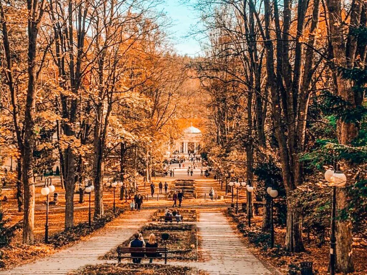 Okna Na Park * Bad Altheide