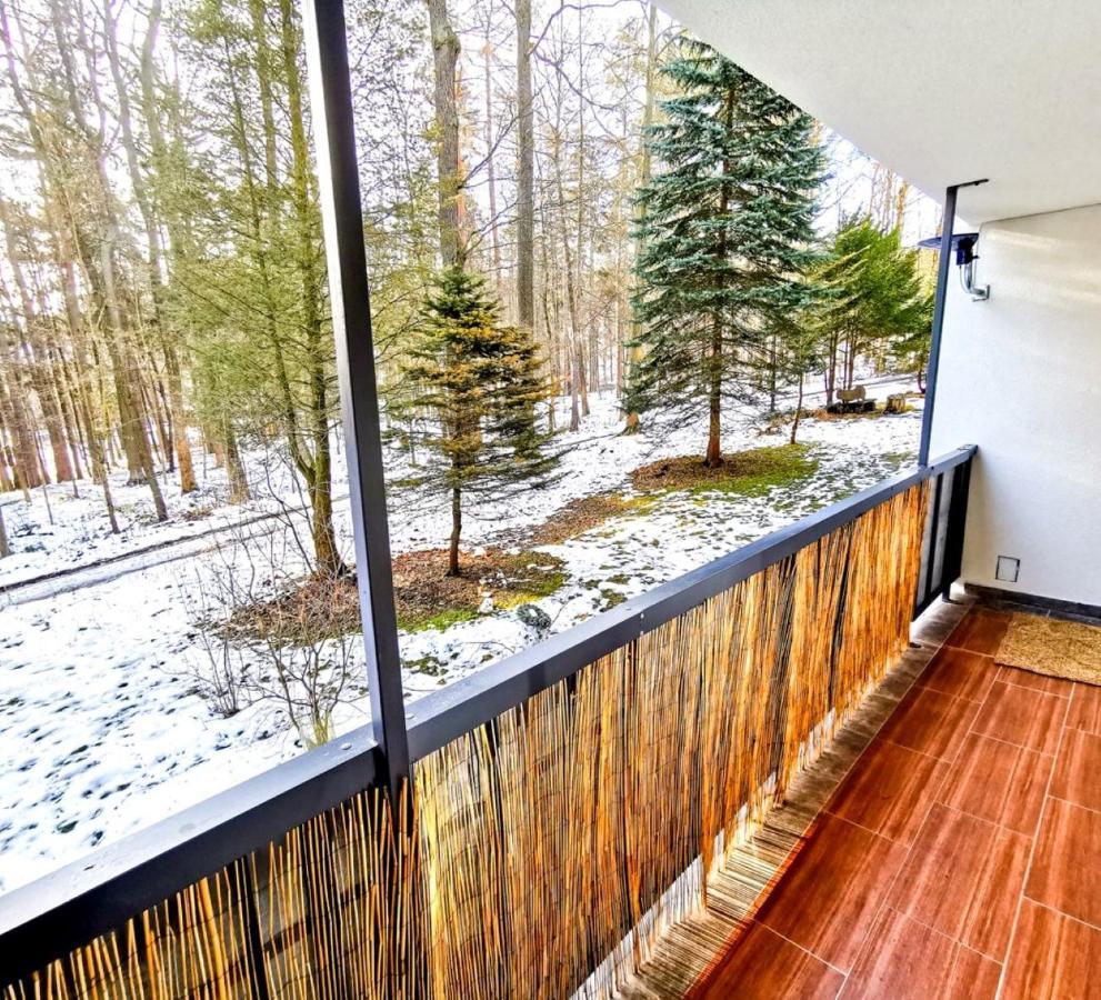 Okna Na Park Apartment